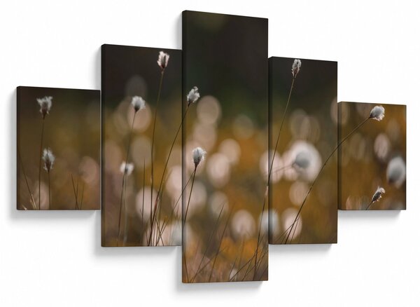 Obraz - Louka s cottongrass N⁰2 (125x70 cm)