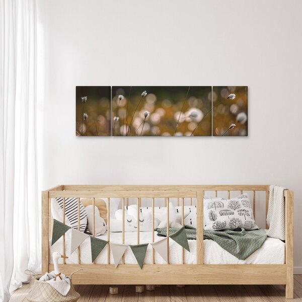 Obraz - Louka s cottongrass N⁰2 (170x50 cm)