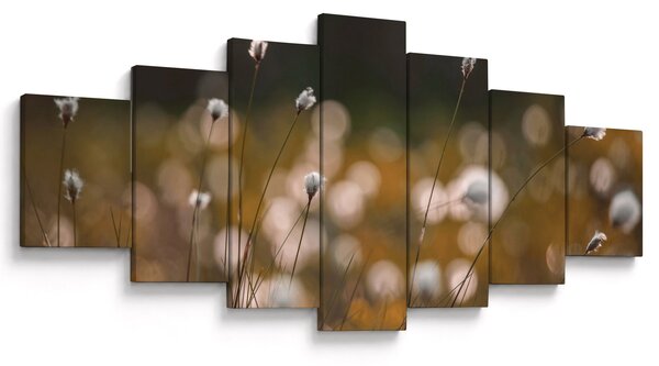 Obraz - Louka s cottongrass N⁰2 (210x100 cm)