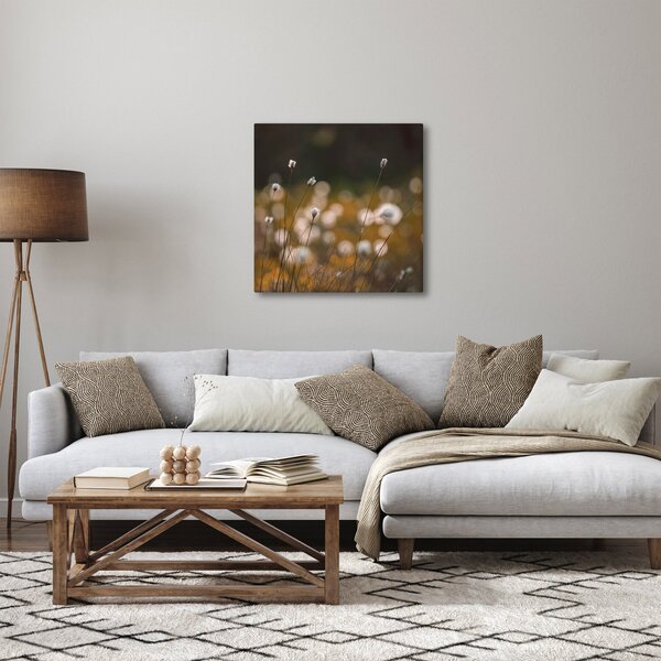 Obraz - Louka s cottongrass N⁰2 (30x30 cm)