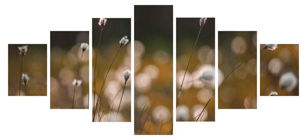 Obraz - Louka s cottongrass N⁰2 (210x100 cm)