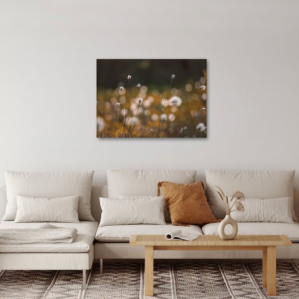 Obraz - Louka s cottongrass N⁰2 (70x50 cm)