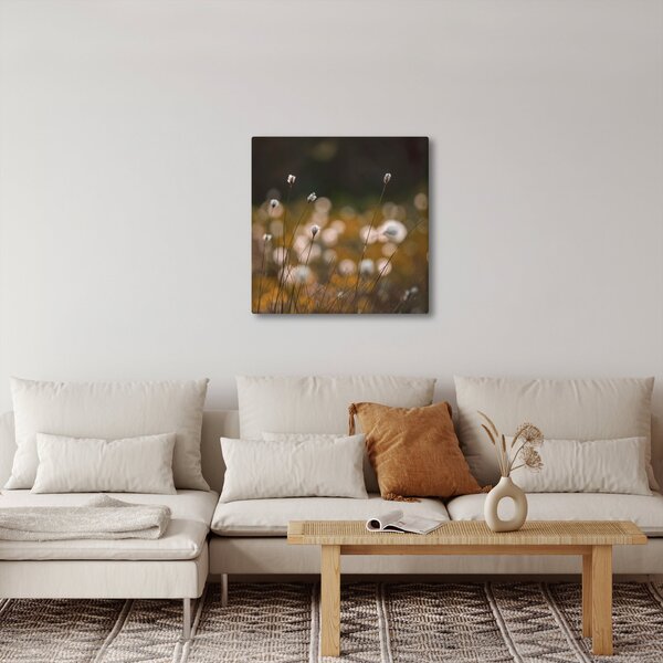 Obraz - Louka s cottongrass N⁰2 (30x30 cm)