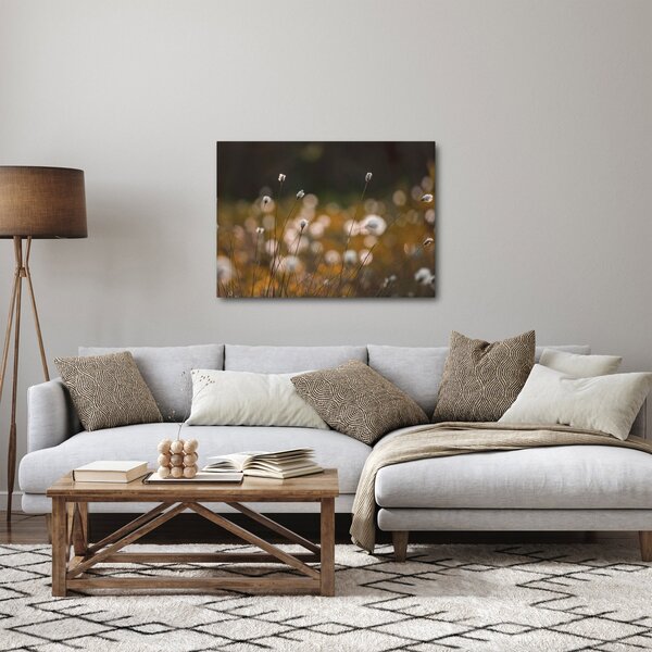 Obraz - Louka s cottongrass N⁰2 (70x50 cm)
