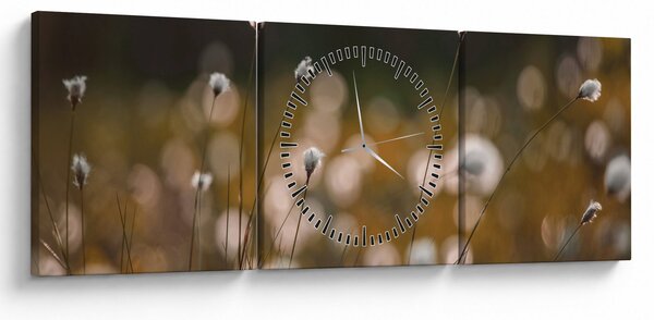 Obraz - Louka s cottongrass N⁰2 (s hodinami) (90x30 cm)