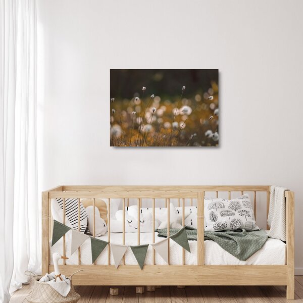 Skleněný obraz - Louka s cottongrass N⁰2 (70x50 cm)