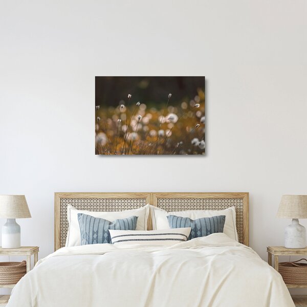 Skleněný obraz - Louka s cottongrass N⁰2 (70x50 cm)