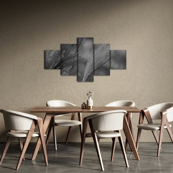 Obraz - Sušená pampová tráva (125x70 cm)