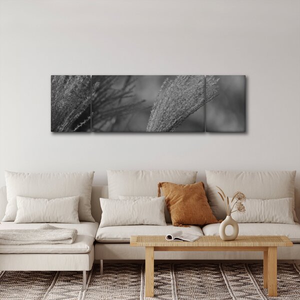 Obraz - Sušená pampová tráva (170x50 cm)