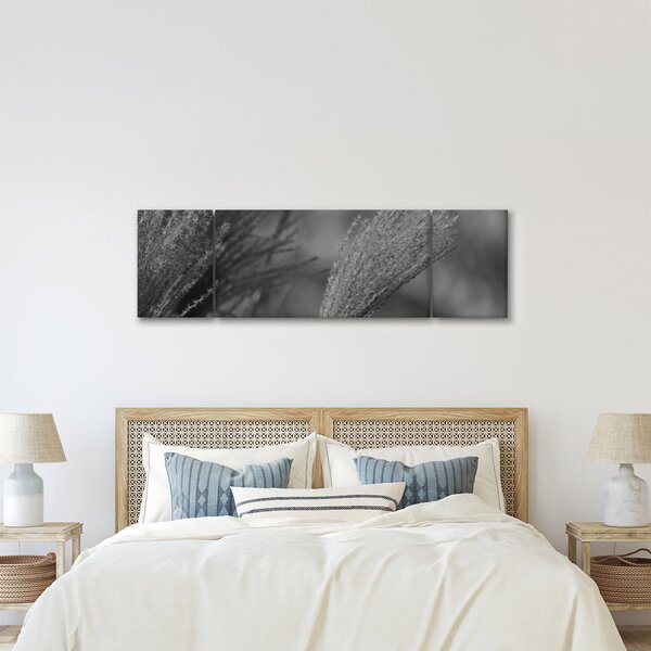 Obraz - Sušená pampová tráva (170x50 cm)