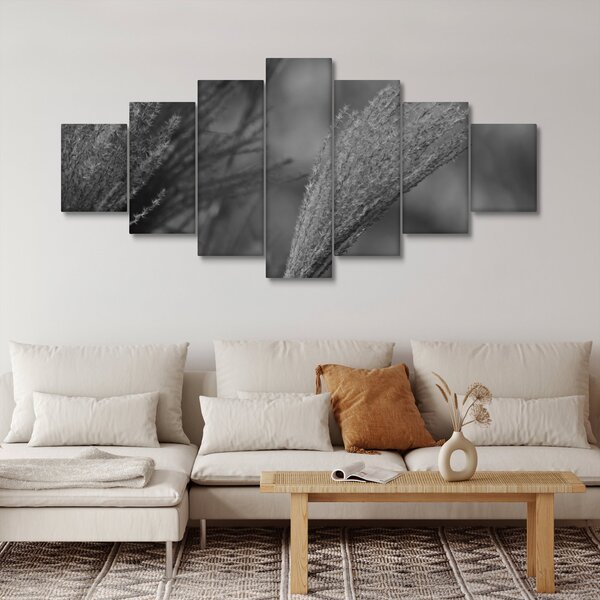 Obraz - Sušená pampová tráva (210x100 cm)