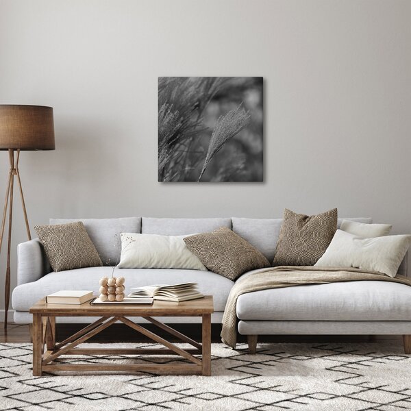 Obraz - Sušená pampová tráva (30x30 cm)