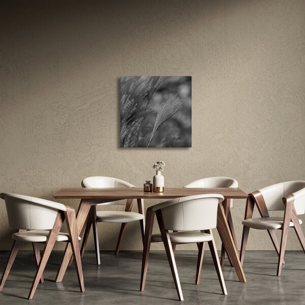 Obraz - Sušená pampová tráva (30x30 cm)