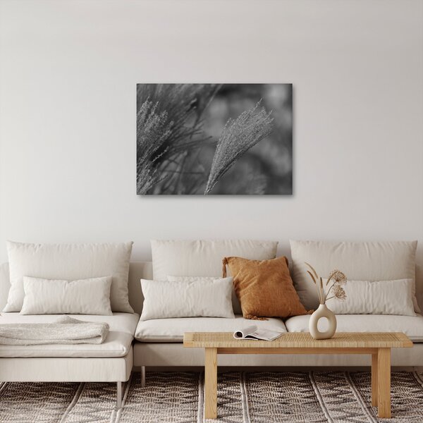 Obraz - Sušená pampová tráva (70x50 cm)