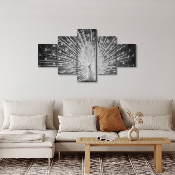 Obraz - Bílý páv (125x70 cm)