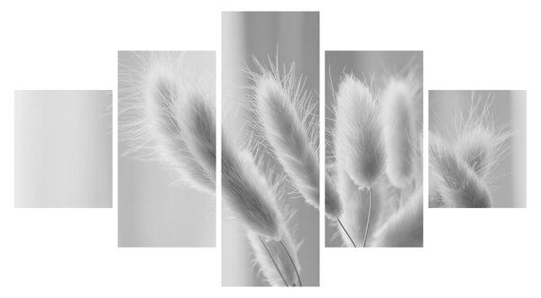 Obraz - Bunny tail grass (125x70 cm)