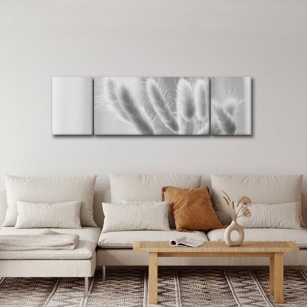 Obraz - Bunny tail grass (170x50 cm)