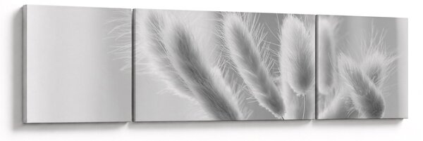 Obraz - Bunny tail grass (170x50 cm)