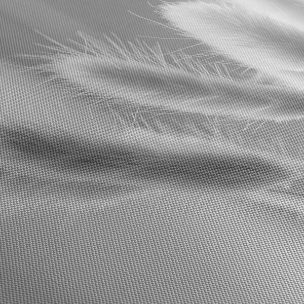 Obraz - Bunny tail grass (30x30 cm)