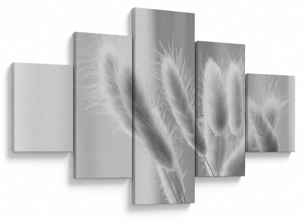 Obraz - Bunny tail grass (125x70 cm)