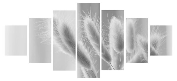 Obraz - Bunny tail grass (210x100 cm)