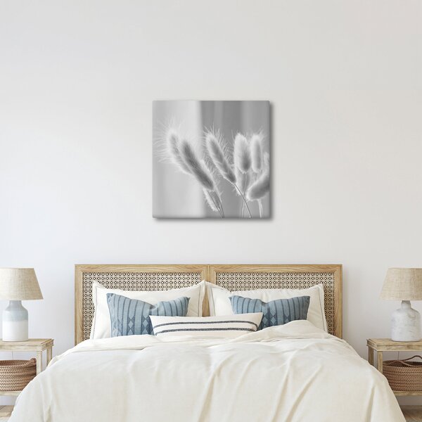 Obraz - Bunny tail grass (30x30 cm)