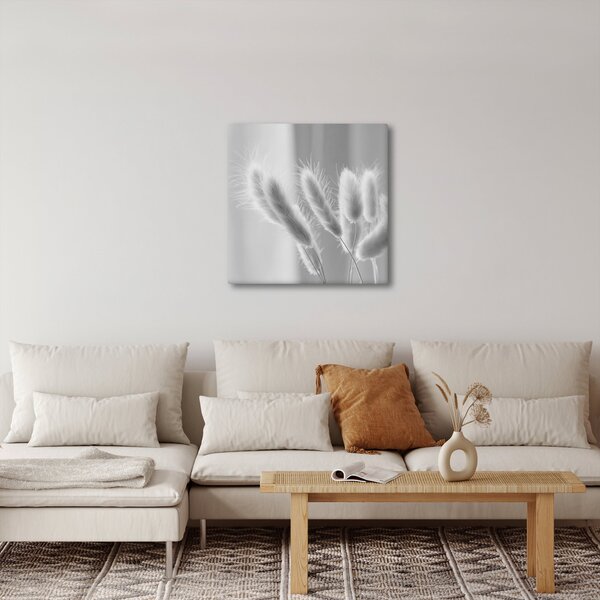 Obraz - Bunny tail grass (30x30 cm)