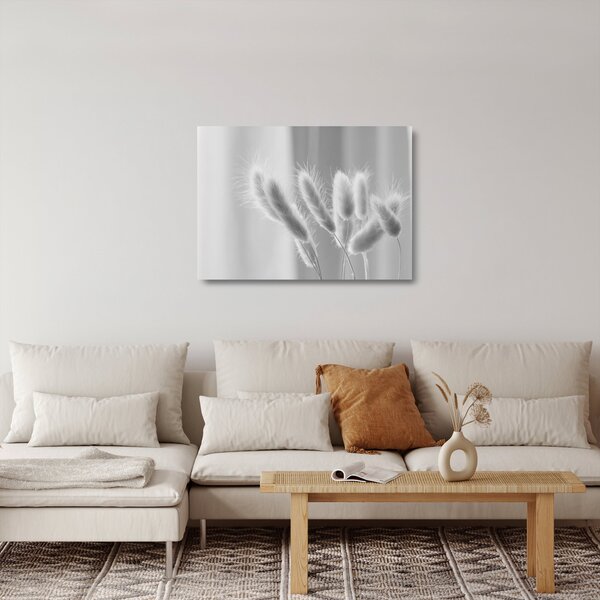 Skleněný obraz - Bunny tail grass (70x50 cm)