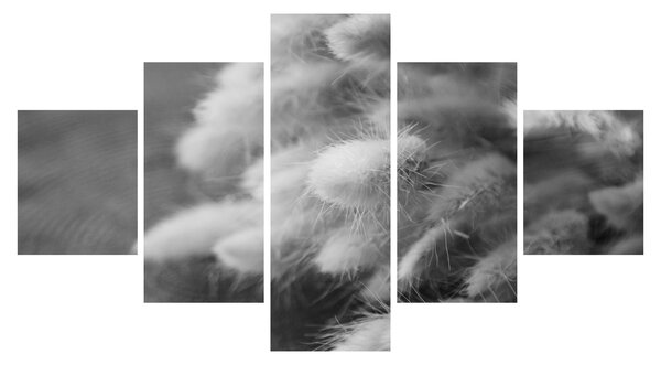 Obraz - Bunny tail grass na stole (125x70 cm)