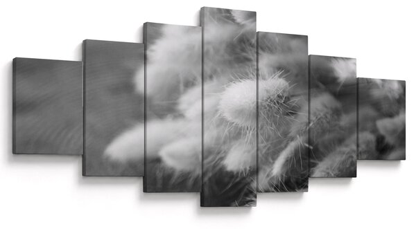 Obraz - Bunny tail grass na stole (210x100 cm)