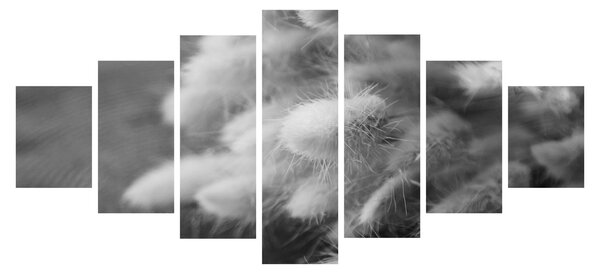 Obraz - Bunny tail grass na stole (210x100 cm)