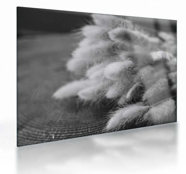 Skleněný obraz - Bunny tail grass na stole (70x50 cm)