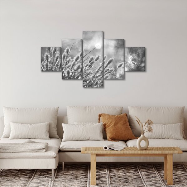 Obraz - Béžová soft grass N⁰1 (125x70 cm)