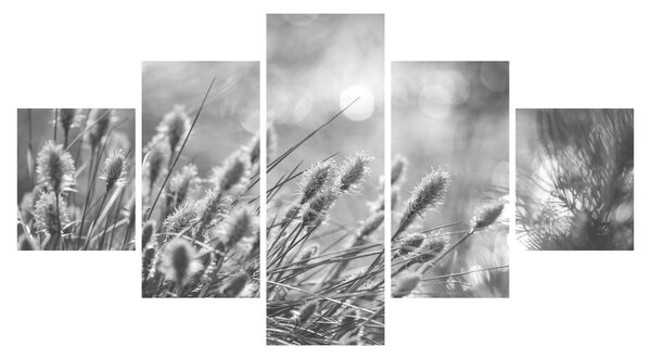 Obraz - Béžová soft grass N⁰1 (125x70 cm)