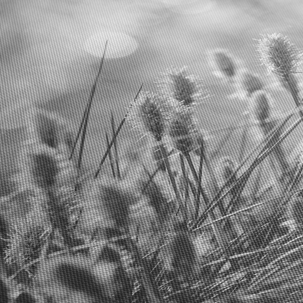 Obraz - Béžová soft grass N⁰1 (125x70 cm)