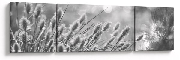Obraz - Béžová soft grass N⁰1 (170x50 cm)