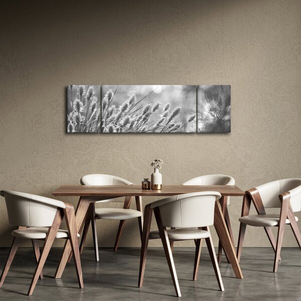 Obraz - Béžová soft grass N⁰1 (170x50 cm)