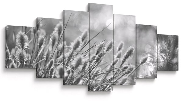 Obraz - Béžová soft grass N⁰1 (210x100 cm)