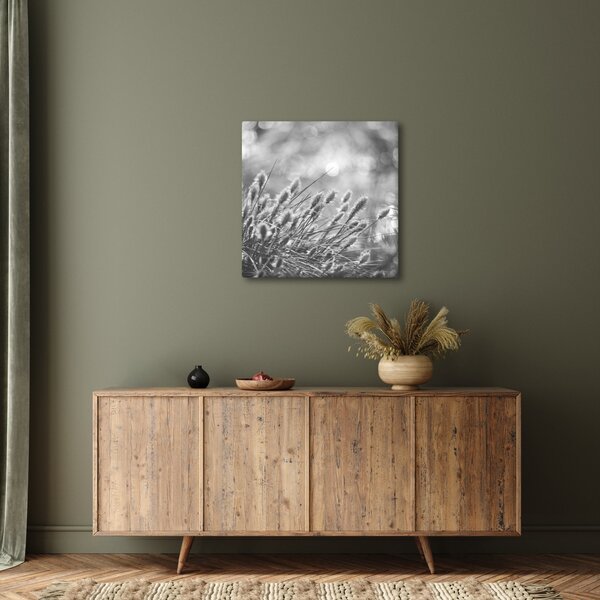 Obraz - Béžová soft grass N⁰1 (30x30 cm)