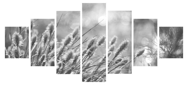 Obraz - Béžová soft grass N⁰1 (210x100 cm)
