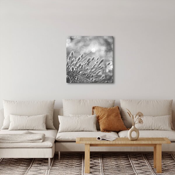 Obraz - Béžová soft grass N⁰1 (30x30 cm)