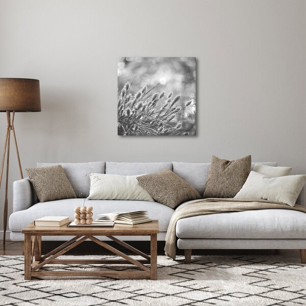 Obraz - Béžová soft grass N⁰1 (30x30 cm)
