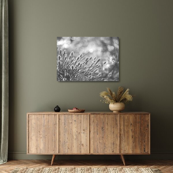Skleněný obraz - Béžová soft grass N⁰1 (70x50 cm)