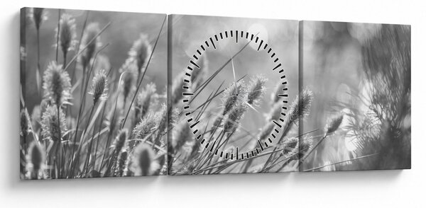 Obraz - Béžová soft grass N⁰1 (s hodinami) (90x30 cm)