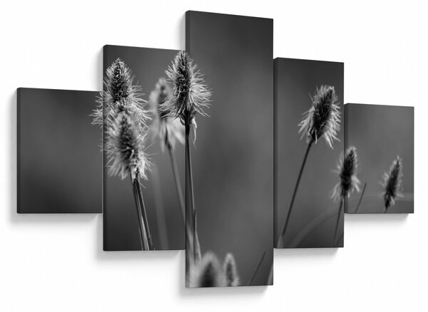 Obraz - Béžová soft grass N⁰2 (125x70 cm)