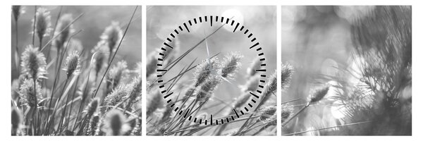 Obraz - Béžová soft grass N⁰1 (s hodinami) (90x30 cm)