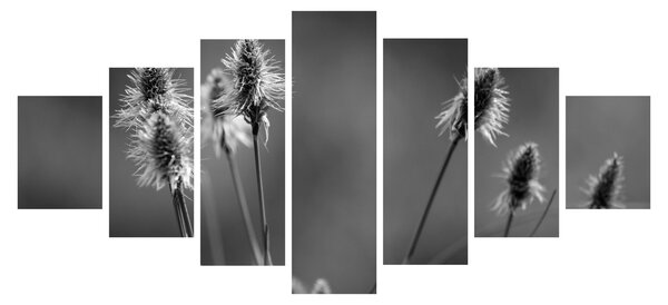 Obraz - Béžová soft grass N⁰2 (210x100 cm)