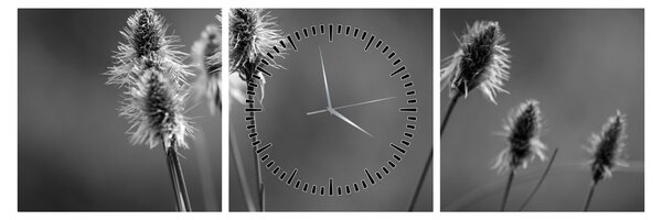 Obraz - Béžová soft grass N⁰2 (s hodinami) (90x30 cm)