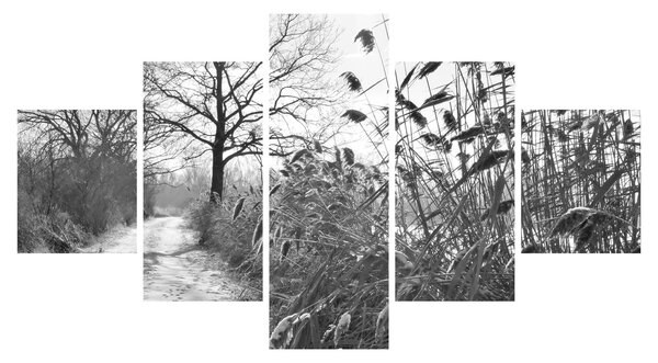 Obraz - Pole v zimě (125x70 cm)