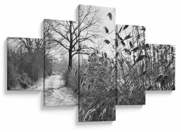 Obraz - Pole v zimě (125x70 cm)